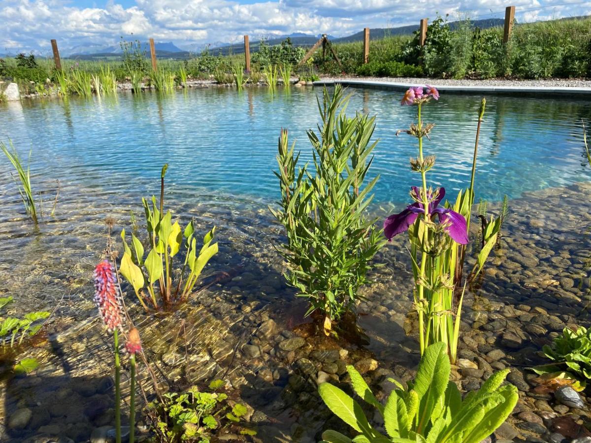 Отель Bio Garni Moeschberg Grosshochstetten Экстерьер фото